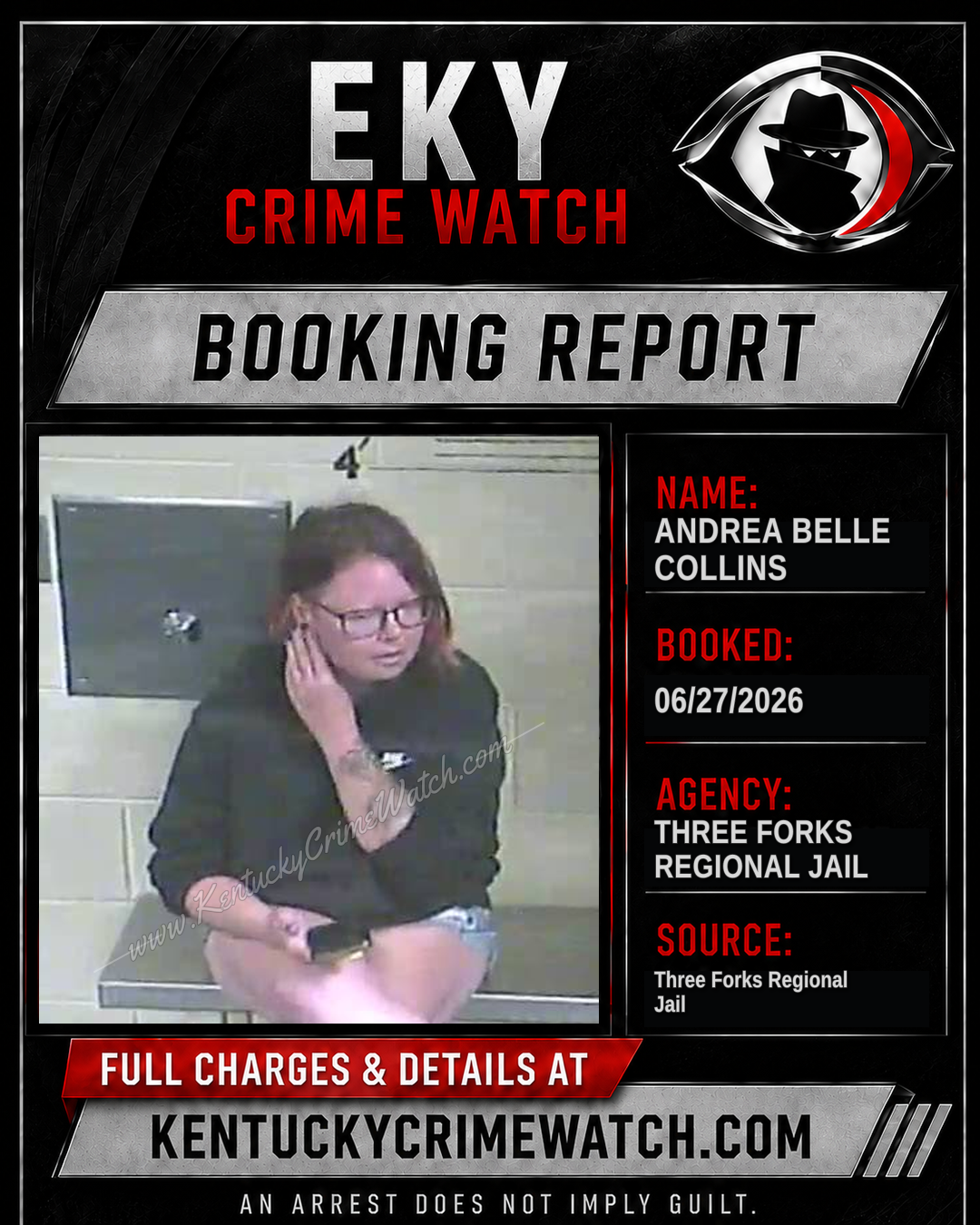 Andrea Belle Collins booking image