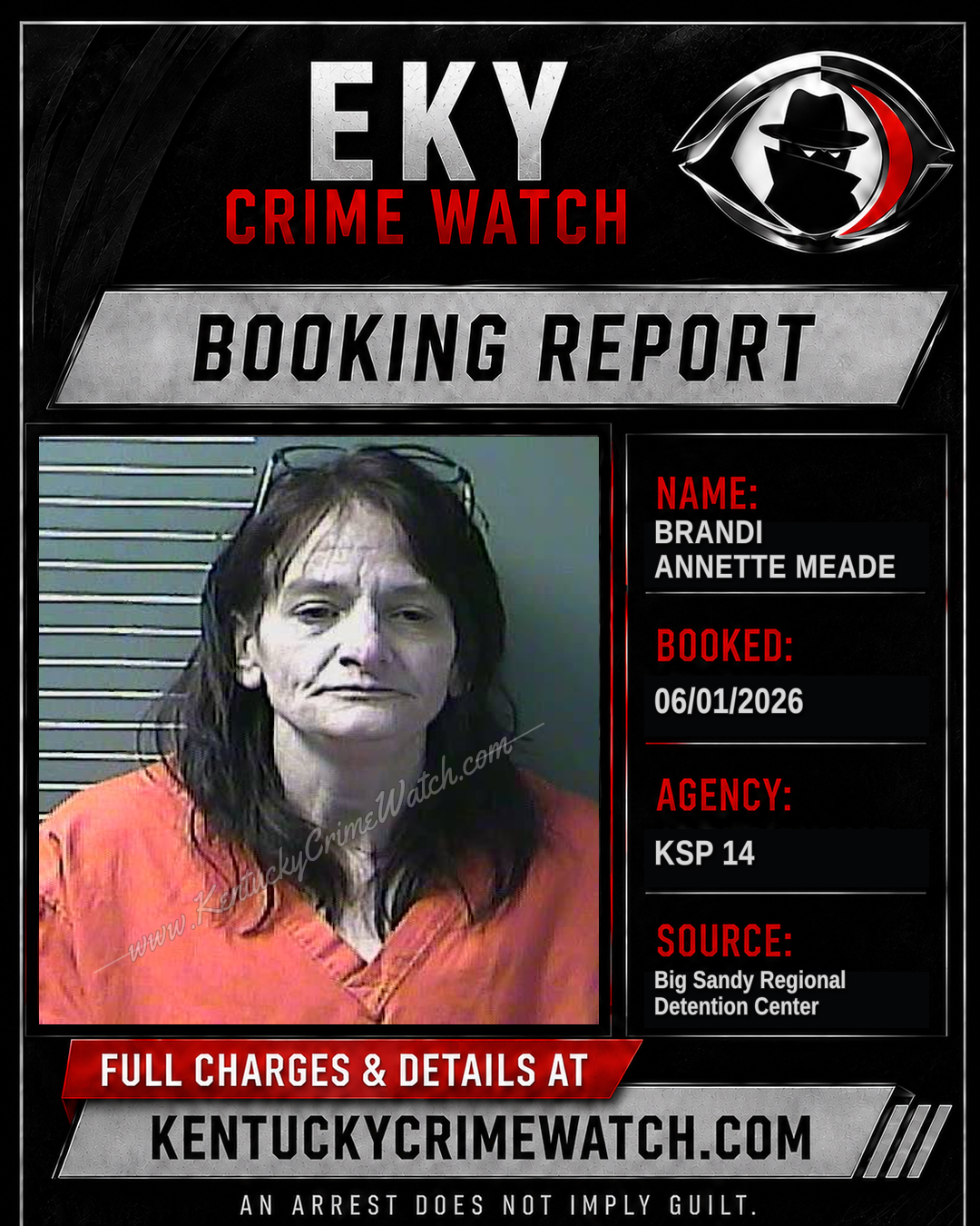 BRANDI ANNETTE MEADE booking image