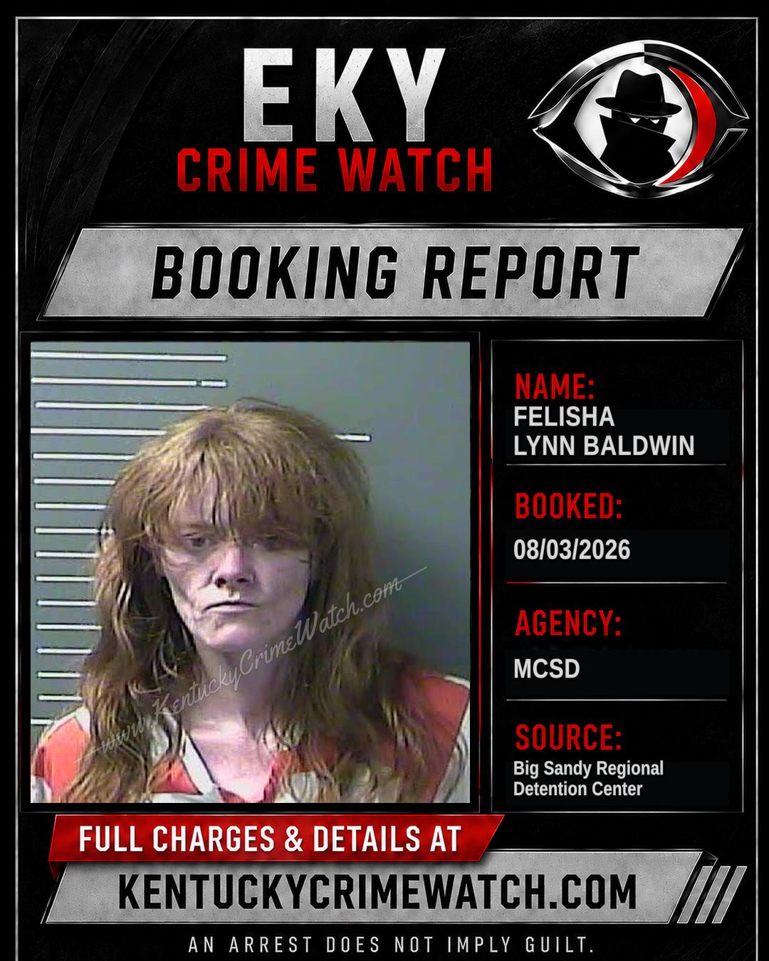 FELISHA LYNN BALDWIN booking report card