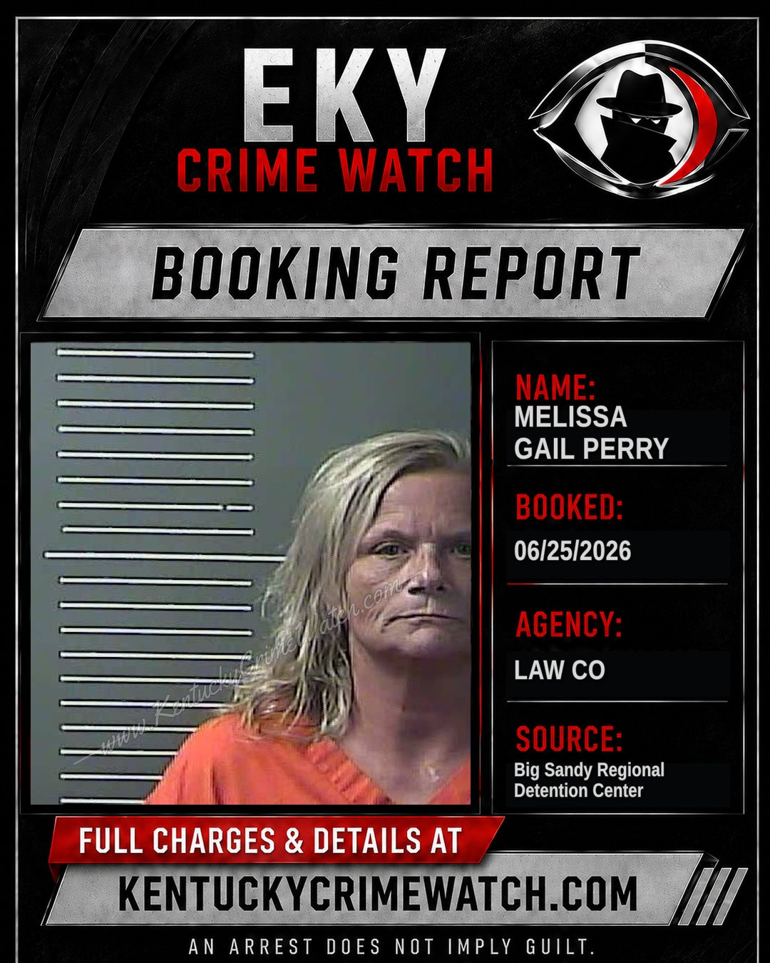 MELISSA GAIL PERRY booking report card