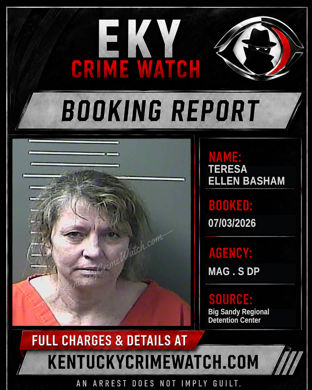 TERESA ELLEN BASHAM booking report card